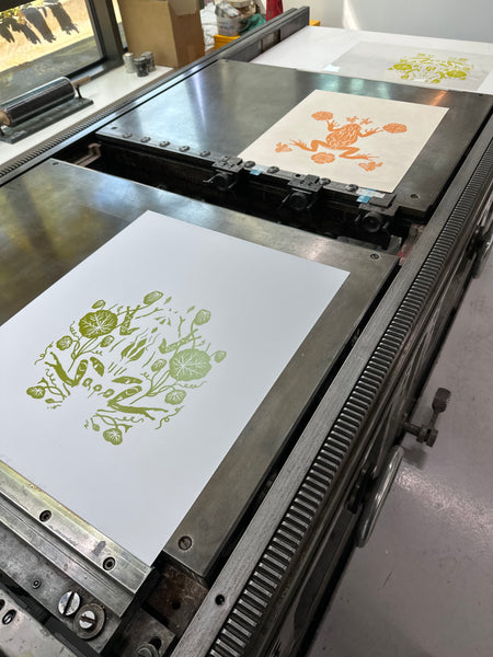 Lithograph Frog Print